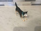 Husky Male Dog Figure 4    Tail And Head Move