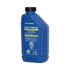 Polaris 1 Qt Antifreeze Coolant 50 50 Premix For Snowmobile - 2880514