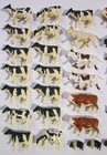 Ertl 1 64 Lot Of 35 Dairy Cows Calves Horses Pigs Farm Diorama Miniature Scene