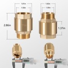 1-1 4  Brass Check Valve 1 25  Npt Water Check Valve For Submersible Well Pump