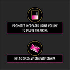 Purina  Ur Urinary St ox Feline Formula Dry Cat Food - 6 Lb  Bag