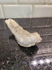 Natural Agate Geode Crystal Specimen Quartz Druzy Cluster Healing Stone 3  77g