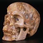 3 0  Coral Fossil Jasper Carved Crystal Skull  Realistic  Crystal Healing