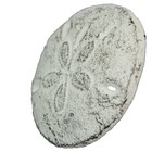 Zeckos White Sand Dollar Drawer Pulls     6-piece Coastal Knobs For Cabinets