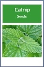Catnip Seeds For Cat Lovers   Non-gmo Catnip Seeds   Fresh Herb Perrenial Seeds
