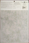 Mill Hill Perforated Paper 14ct 2pc 9x12 Pp102 Green Granite