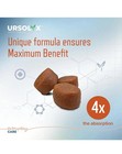 Ursolyx Canine Muscle Support Soft Chews     Helps Maintain Strength - Free Shipng
