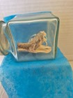 Real Western Rattlesnake Head With Open Mouth And Fangs Taxidermy In Glass Jar