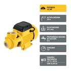 Peripheral Pump Electric Water 1 2 Hp  Pretul Boap-1 2p3