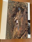 Marist High Yearbook 1971  guidon  71 Atlanta  Georgia Ga