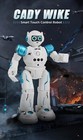 Rc Robot Toys Gesture Sensing Smart Robot Toy For Kids Can Sing Dance Speak Usa
