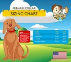 County Brook Petz   Premium Dog Collar And Leash - Christmas Collection