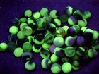 100 Mixed Jabo Uv Reactive  Glass Marbles    54 99
