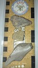 Three Cretaceous Fossil Crocodile Dermal Scutes - Hell Creek Formation  Montana