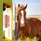 3 Pack Paste Horse Dewormer - Apple Flavor New Exp 3 Year N E