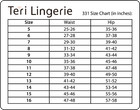 Women s Classic  Nylon   Brief Panty   stye 331  4 Pack By Teri Lingerie