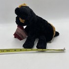 Animal Alley Puppy Dog Plush Stuffed Animal Toy Sock Black Brown 2000