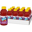 Berry Blend Juice Beverage - 16 Fl Oz Bottles  12 Pack  - Refreshing Fruit Drink