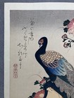 Hiroshige Utagawa Ukiyoe Woodblock Print    pheasant And Chrysanthemum   