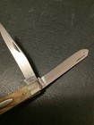 Casexx Stag Trapper 5254 Era 64-69  