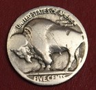 Hobo Buffalo Nickel Indian Buffalo Skull Real Us Nickel