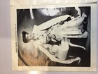 Vintage 1980 Miss Jamaica Usa Pageant Souvenir Program Concert Crowning Booklet