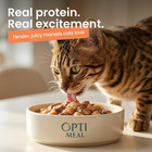 Wet Cat Food Grain Free - Chicken Tender Morsels  High Protein Premium Nutrition