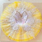 Light Blue Professional Ballet Tutu Lace Appliques Girls Pleated Tutu Dress