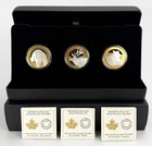 2025 Canada  20 Animal Portraits 3 Coin Set  Polar Bear  Elk  Wolf - Fine Silver
