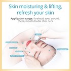 3 In 1 Dermabrasion Microdermabrasion Vacuum Blackhead Removal Skin Care Machine