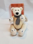 Mary Meyer Olde World Curios Miniature Jointed Teddy Bear Plastic Display Case