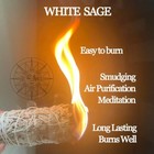 4 Inch White Sage Smudge Sticks Ritual   Altar   Witch   Cleansing 