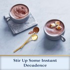 Double Chocolate Hot Cocoa Mix  0 85-ounce Packets  pack Of 10 