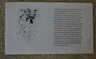 Fantastic Pen And Ink Botanical Signed C1969 Barry Moser Original Drawing