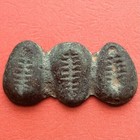 Chinese Ancient Coin  1046 Bc     256 Bc  Three Cowrie Shell zhou Dynasty china 