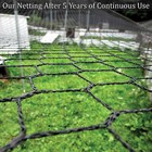 Pinnon Hatch Farms Light Knitted Netting -garden Protection- Lasts 8 To 10 Years