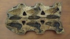 1860s Antique Thomas Mills Bros  Cast Iron Metal Candy Mold   263 Three Ducks