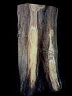 Xl Wicked Curly Mulberry Wood Slab  Craft Wood  Charcuterie Live Edge Epoxy Wood