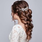 2pcs Rhinestone Flower Hair Clips Crystal Bridal Barrettes For Wedding   Prom