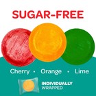 Sugar Free Assorted Fruit Discs Hard Bulk Candy - 1lb   2lb   Free Shipping 