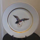 Set Of 6 Boehm Hand-painted Hutchenreuther Selb Plates American Birds Gold Trim 