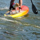 Kayak Paddle - Adjustable 2 Pieces Aluminum Alloy Shaft With Glass Fiber Blad   