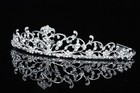 Bridal Floral Crystal Rhinestone Prom Wedding Crown Tiara V654