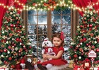Ltlyh 7x5ft Winter Christmas Photography Backdrop Xmas Rustic Wooden Window F   