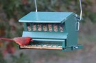 Heritage Farms Squirrel Proof Bird Feeder 15 Lb Metal Hanging Pole Mount Green