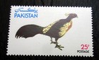Set Of 3 Postage Stamps From Pakistan  483- 485  Mint Never Hinged