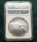 2017 D Ngc Ms 70 American Liberty 1oz  999 Silver Medal  Rhett Jeppson Label
