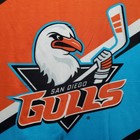 San Diego Gulls Ahl Hockey Team Blanket Throw Sga 60 x48  Wall Decor Cover 