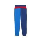 Puma Bmw M Motorsport Essentials Big Kids  Sweatpants