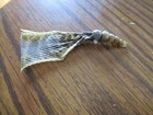 Rattlesnake Rattles W  Skin Rattle Snake Art  Jewlery Education Rattlers S2